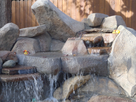 Swimming Pool Builder Vacaville